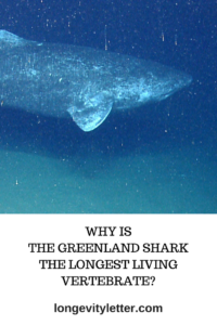 greenland shark lifespan