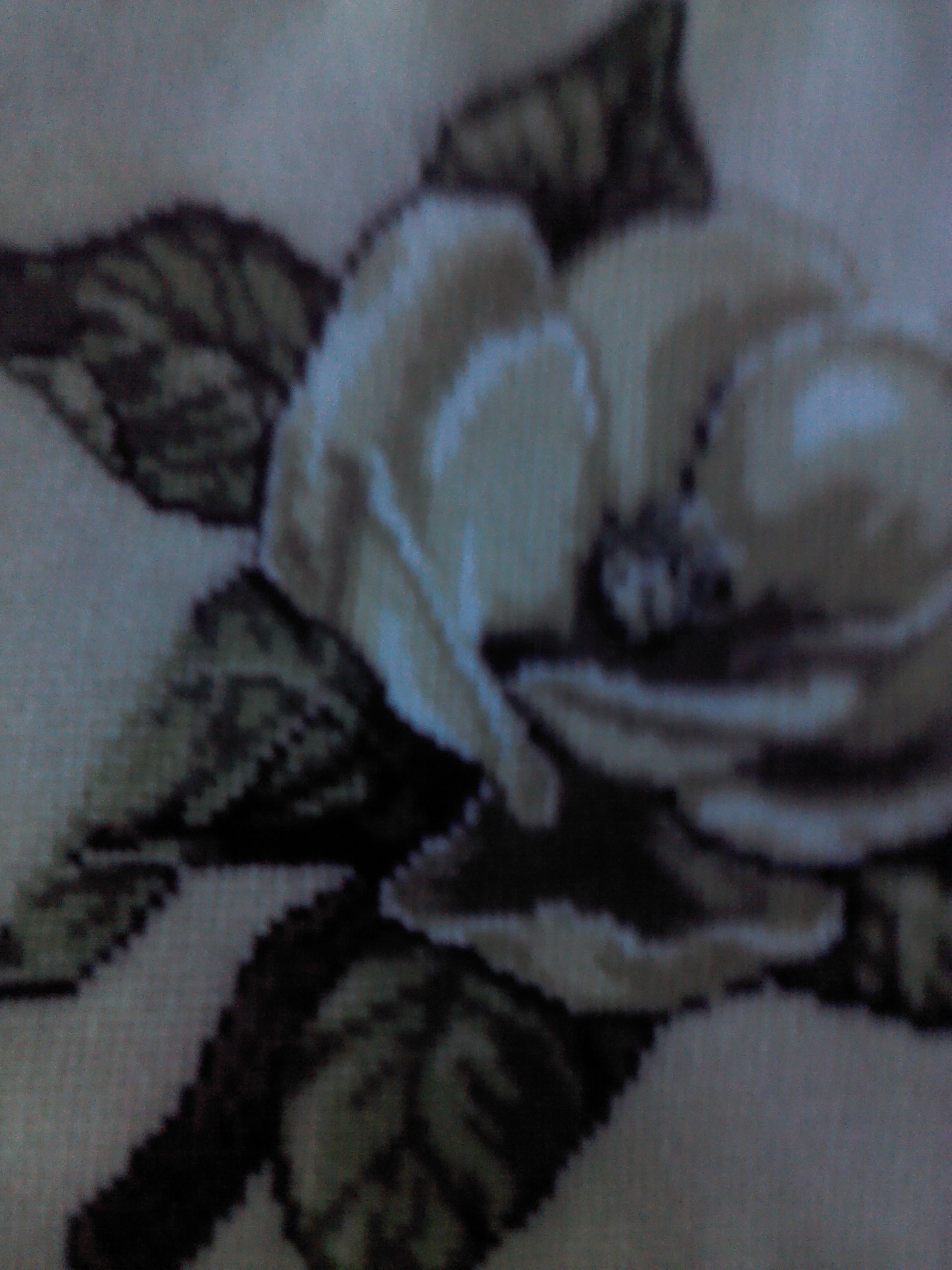 Needlepoint