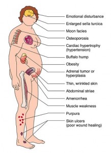 Source: http://biomed.brown.edu/Courses/BI108/BI108_2008_Groups/group14/pages/pathology.html