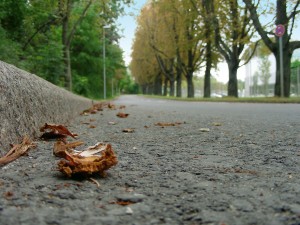 road-193659