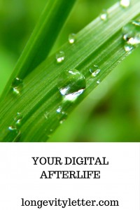 Your digital afterlife