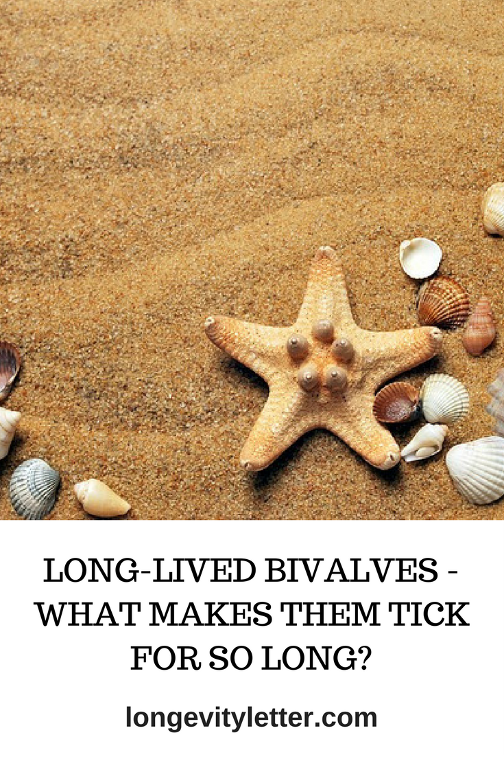 Long-lived bivalves - what makes them tick for so long?