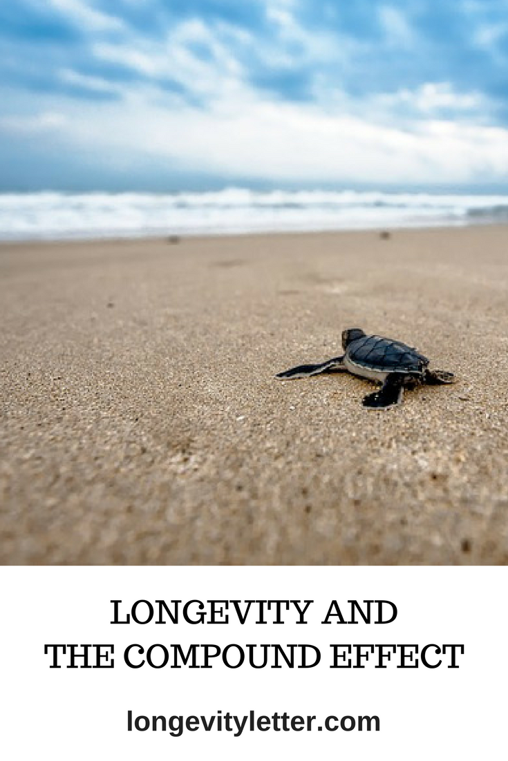 longevity, compound effect, calorie restriction, optimal nutrition, sports, exercise, gerontology, living longer
